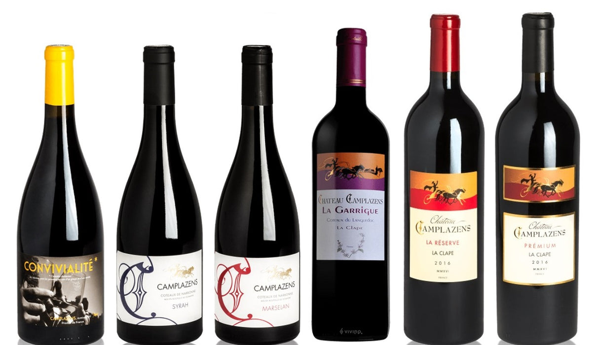 Chateau Camplazens - Red Wine Pack